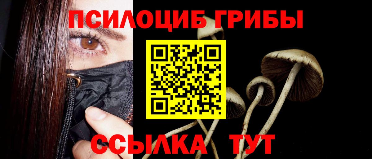 Псилоцибиновые грибы прущие грибы Берёзовский